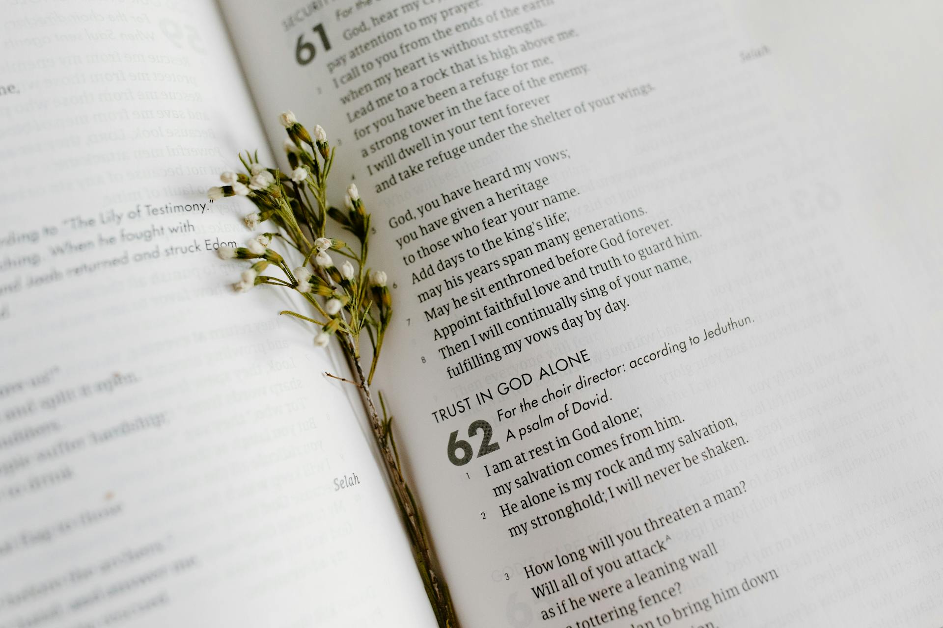 Why Do We Need Salvation Verses?